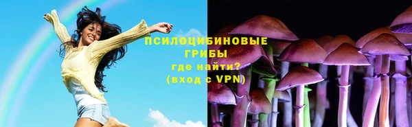 СК Армянск